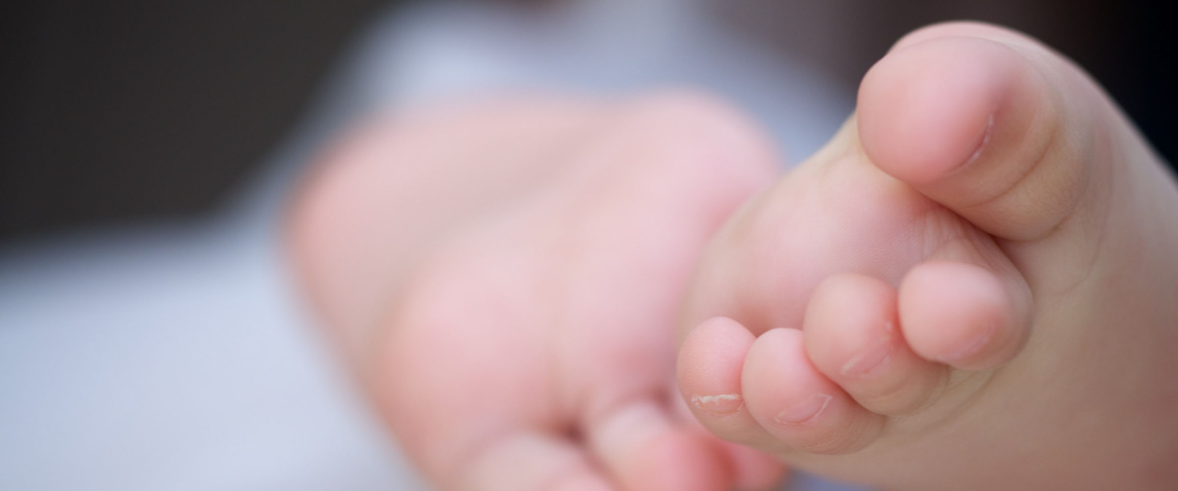 2015-03/baby_toes_banner.jpg