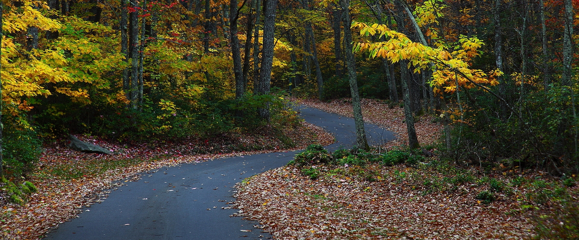 faithpath/images/faithpath_banner_road.jpg